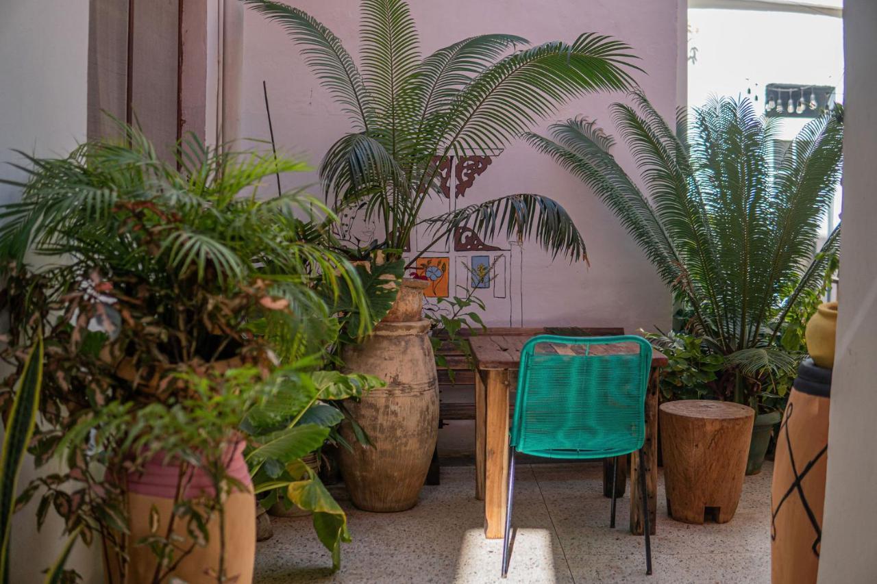 Tarawanda House -Thrivestawi Panzió Zanzibár Kültér fotó