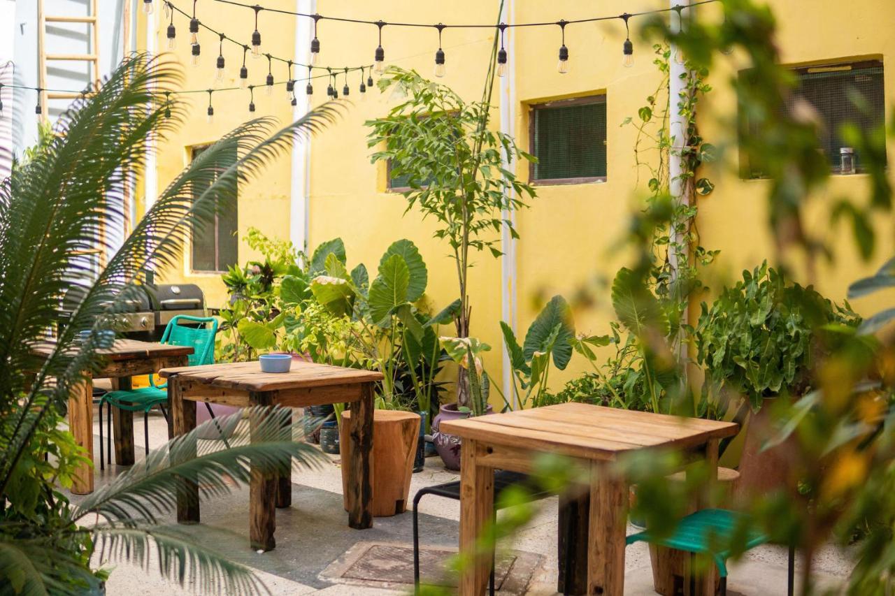 Tarawanda House -Thrivestawi Panzió Zanzibár Kültér fotó